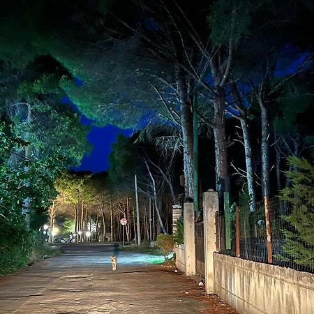 Rooms For Rent Habipi Vlorë 외부 사진