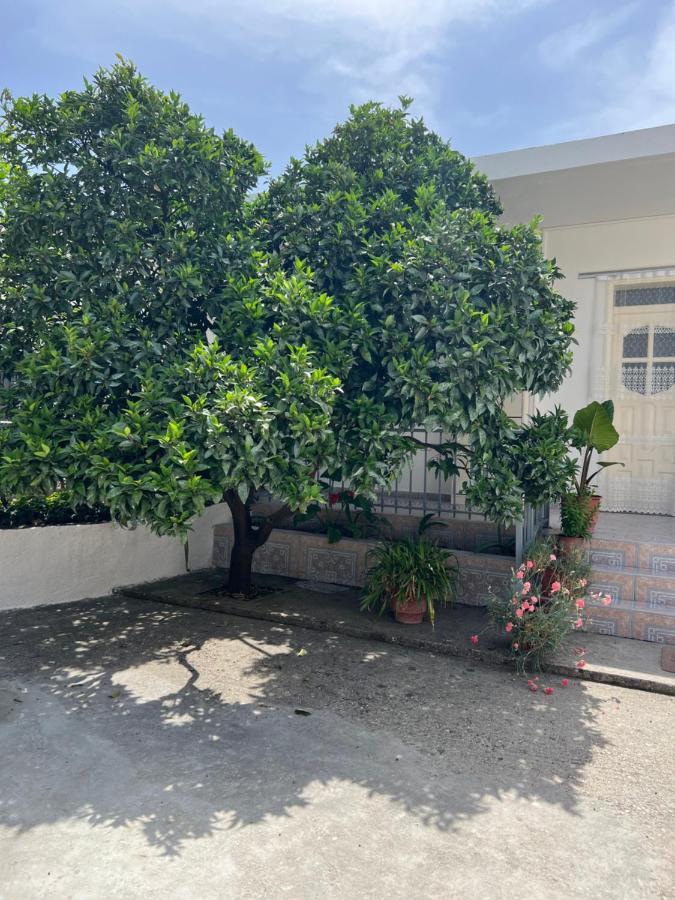 Rooms For Rent Habipi Vlorë 외부 사진