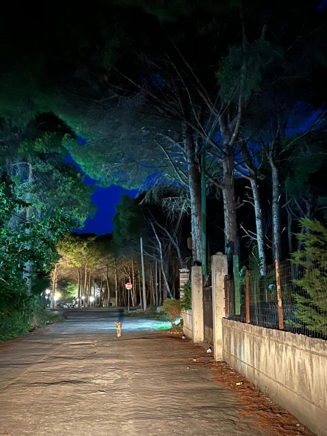 Rooms For Rent Habipi Vlorë 외부 사진